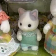 ねこ@断捨離中‼️即購入歓迎⭕️の画像