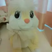 みぃ