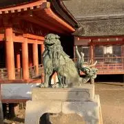 メル95544