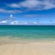 miiiの画像