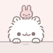 Yの画像