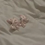 ♡*.+゜の画像