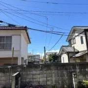 もりもりの画像