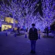 ありの画像