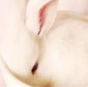 三峰蓮