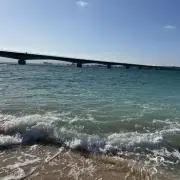 ワンザールの画像