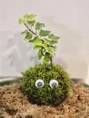 GILlの画像