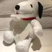 れーたーの画像