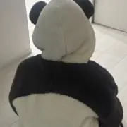 kp✳︎断捨離中の画像