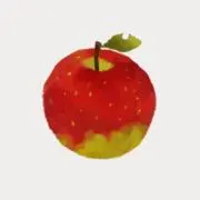 428の画像