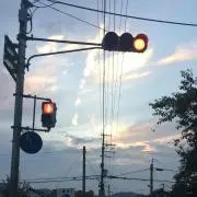 悠木の画像
