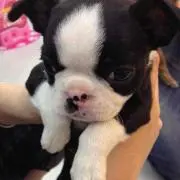 an
