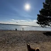 ぞーの画像