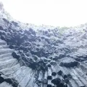 ましゅまろ。