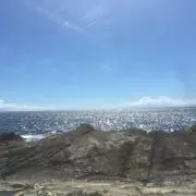 マージーの画像