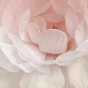 Miの画像