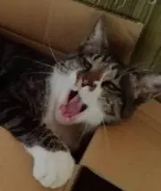 Jiro