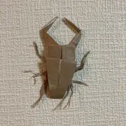 khの画像