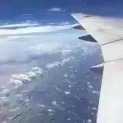 さっちゃん＊プロフ必読＊の画像