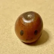 どんぐりの画像