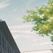 wadoの画像