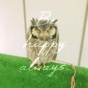 Ruumee..