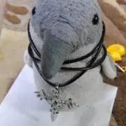 橘 瑞穂の画像
