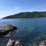 かず