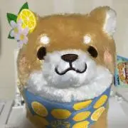 もち☆