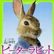 きつねっと(ФωФ)