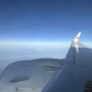 パンチくんの画像
