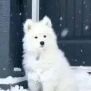 凛★