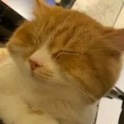アズ