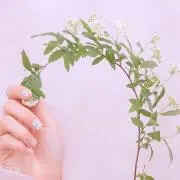 あいの画像