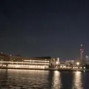 YMの画像