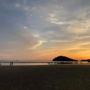 ammoriの画像
