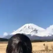 りんご【24h以内に発送します】の画像