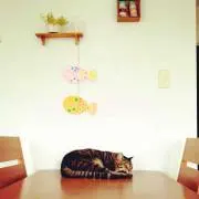 もち麦
