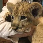 うさみちゃんの画像