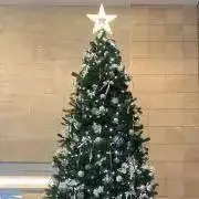 yaya
