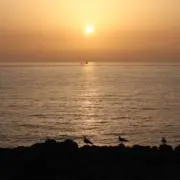 す*ん様 【美品】遊戯王 青眼の白龍 ブラックマジシャン レッドアイズ