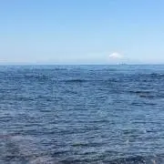 ちーのお店の画像