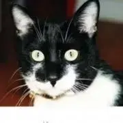 Hoaの画像