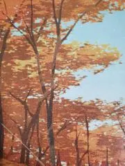 秋の画像