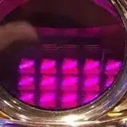 タイガーマスク