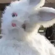 あああーの画像