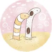 チンアナゴの画像