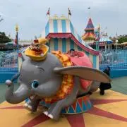 ミンミン☆の画像