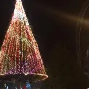 たんの画像