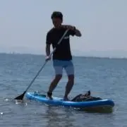 コパトーンの画像
